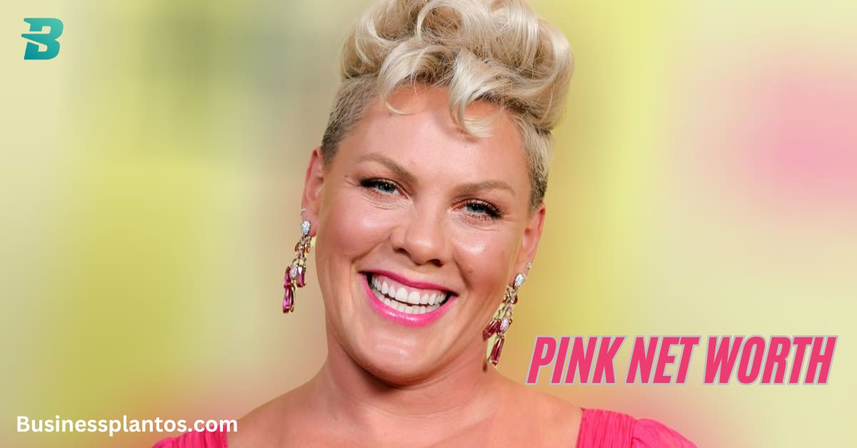 Pink Net Worth: How Built Her $250 Million Fortune